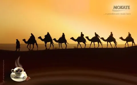 mokate2