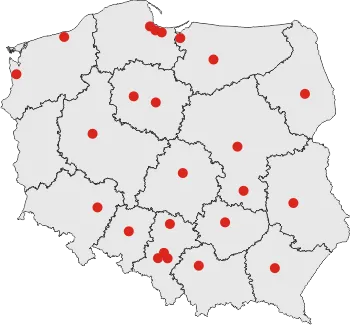 projektowane.pl - miasta